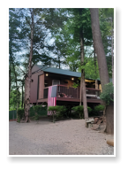 A picture of one of our cabins