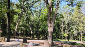 a picture of RV site #2 here at Barker Gap